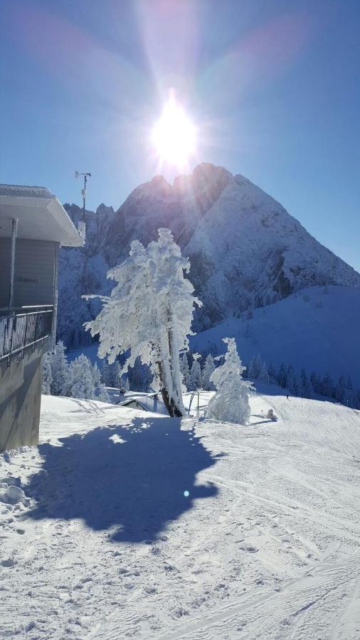 Gaestehaus Walpurga Russbach am Pass Gschütt Dış mekan fotoğraf