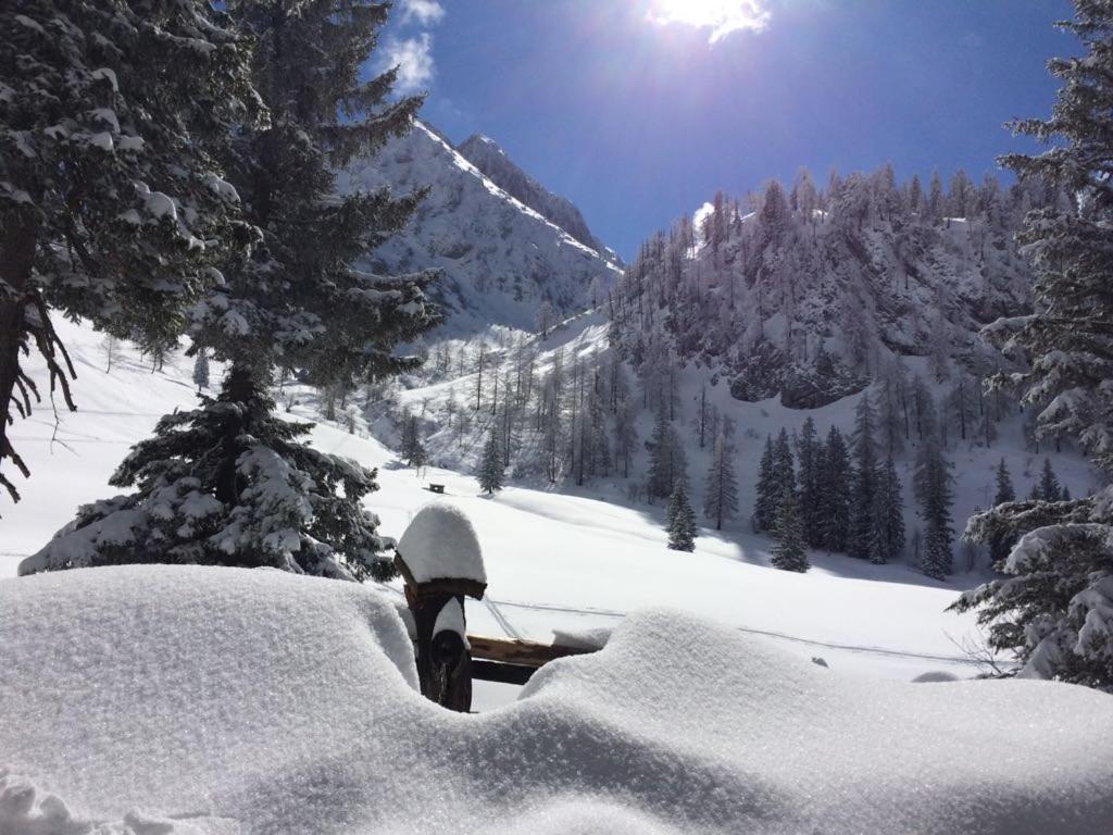 Gaestehaus Walpurga Russbach am Pass Gschütt Dış mekan fotoğraf