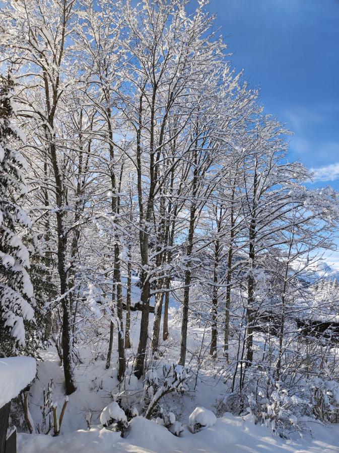 Gaestehaus Walpurga Russbach am Pass Gschütt Dış mekan fotoğraf
