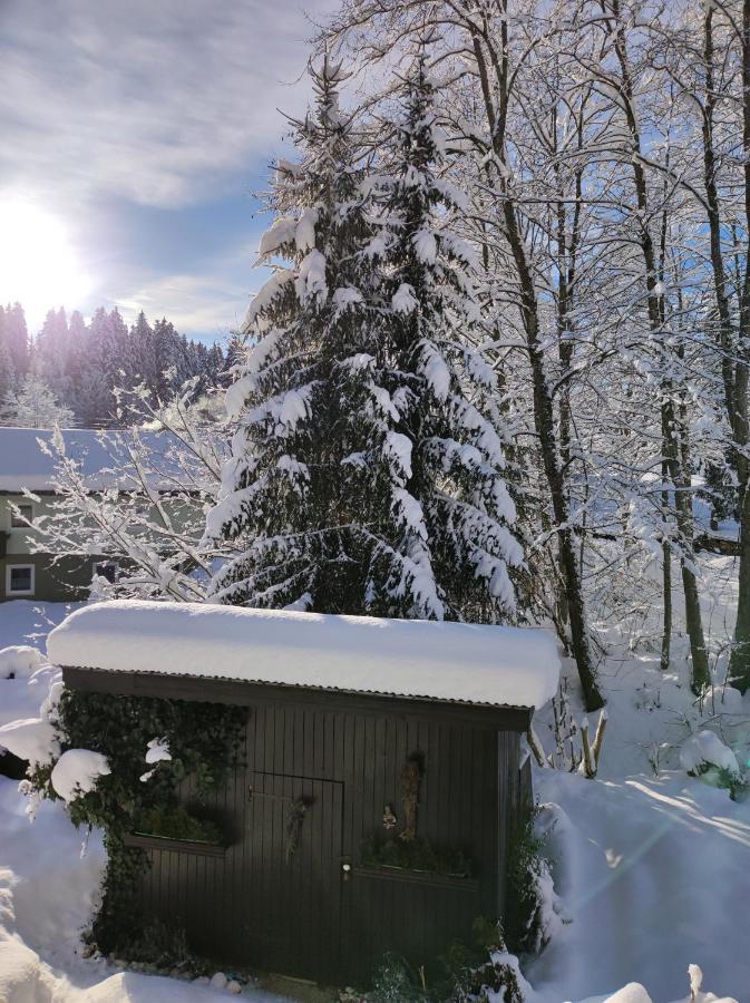 Gaestehaus Walpurga Russbach am Pass Gschütt Dış mekan fotoğraf