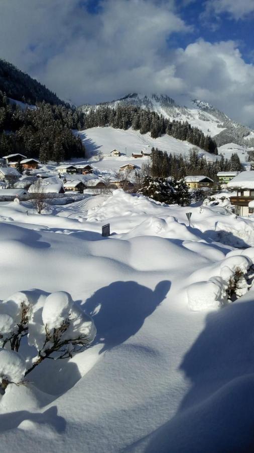 Gaestehaus Walpurga Russbach am Pass Gschütt Dış mekan fotoğraf