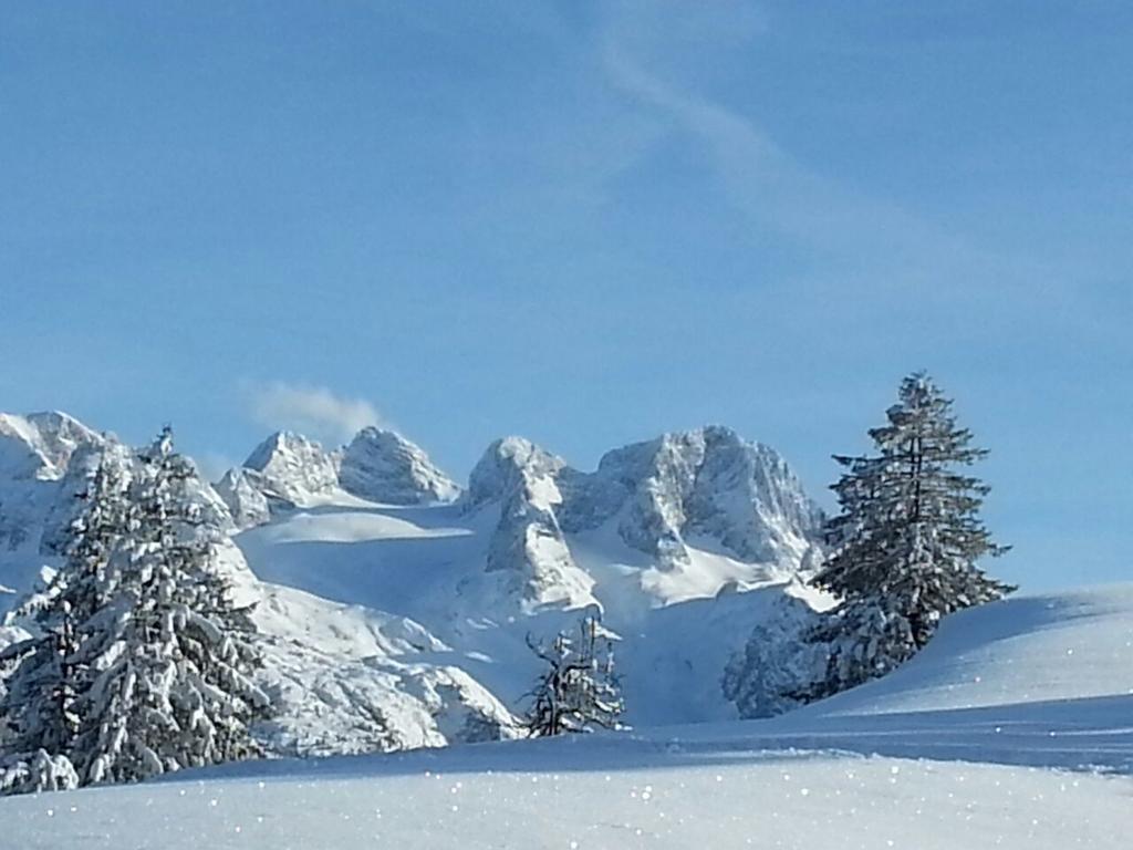 Gaestehaus Walpurga Russbach am Pass Gschütt Dış mekan fotoğraf