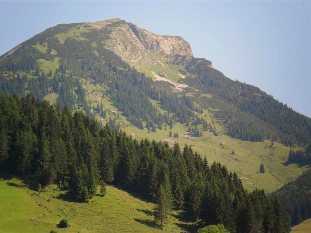 Gaestehaus Walpurga Russbach am Pass Gschütt Dış mekan fotoğraf